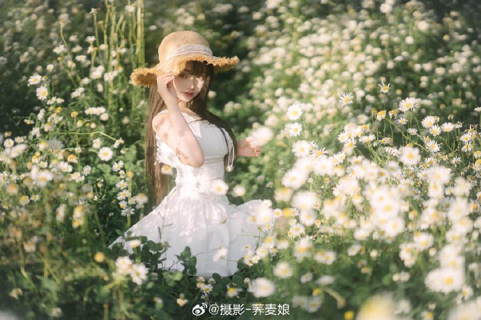 可怜的东西 封面